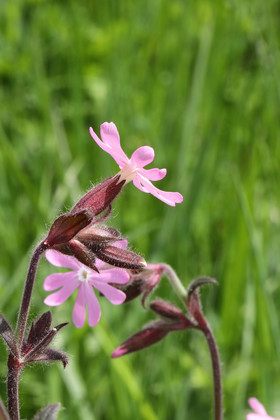 Encore une journée non favorable à la pratique de WingFoil