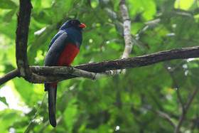 Parque Natural Metropolitano