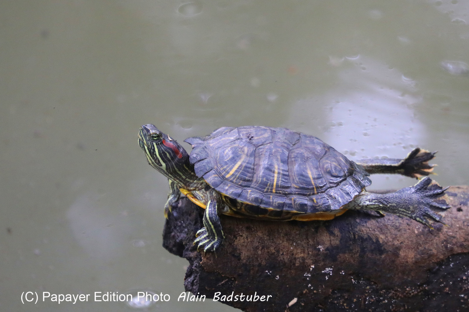 Parque Natural Metropolitano