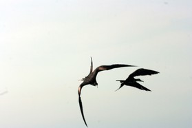 Images_Belize_2011_410