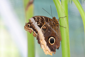 Punta Culebra Nature Center