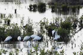 Hopkins, Octobre-Novembre 2021