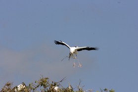 Images_Belize_2011_095