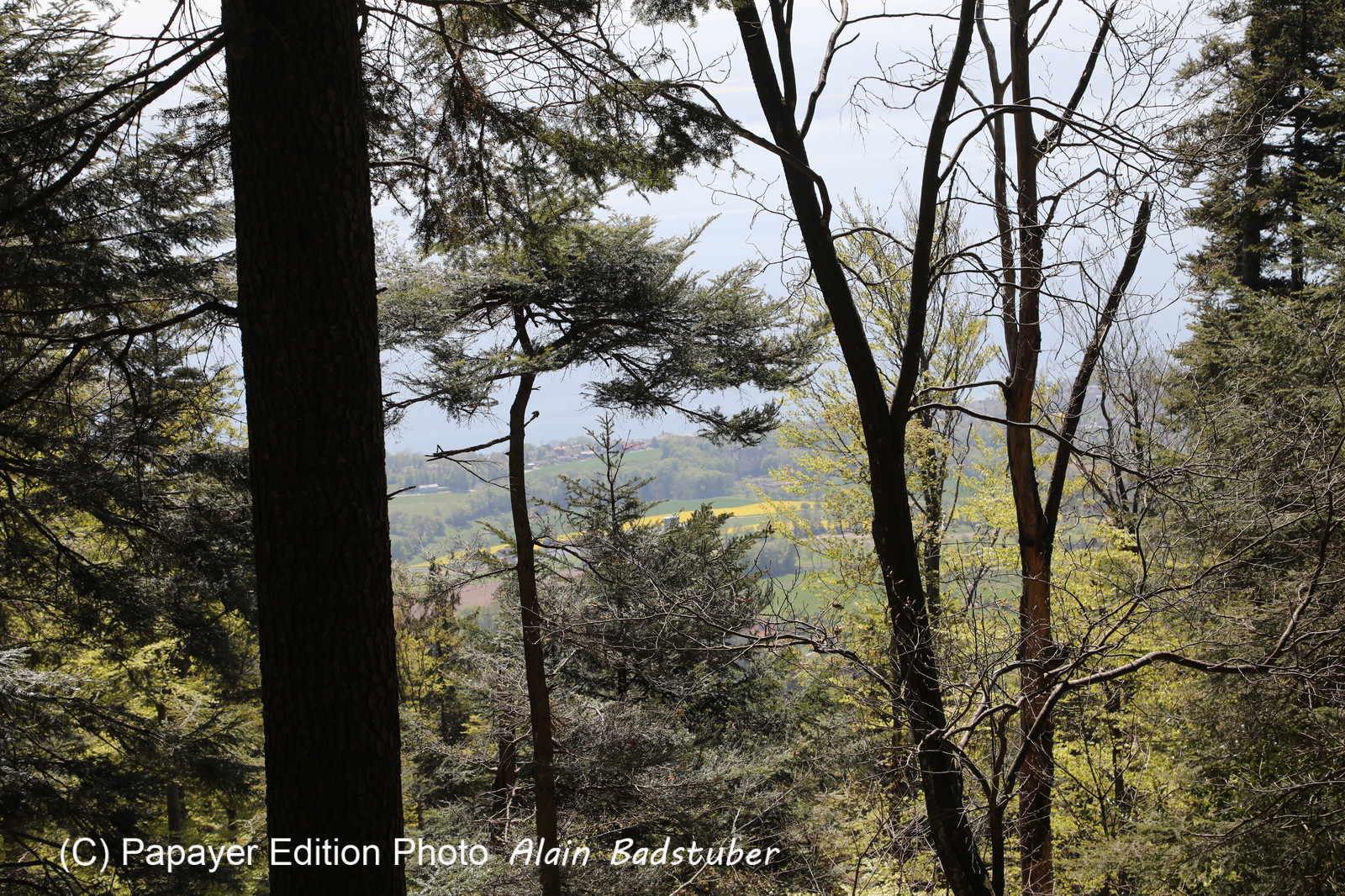 Ma balade du premier mai 2019