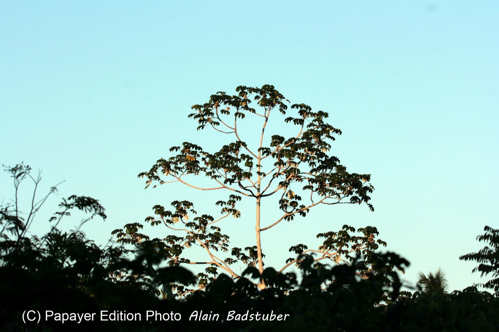 Images_Belize_2011_350