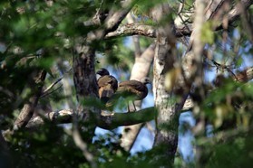 Images_Belize_2011_303