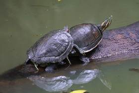 Parque Natural Metropolitano