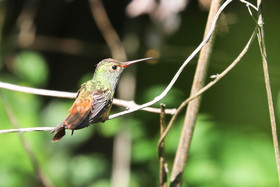 Deuxième séjour à Sarteneja, Bélize, Novembre - Décembre 2021