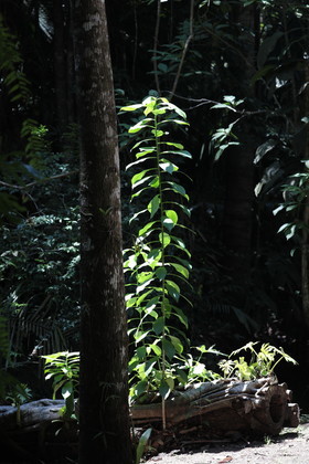 Hickatee Cottages, 4 jours de photo