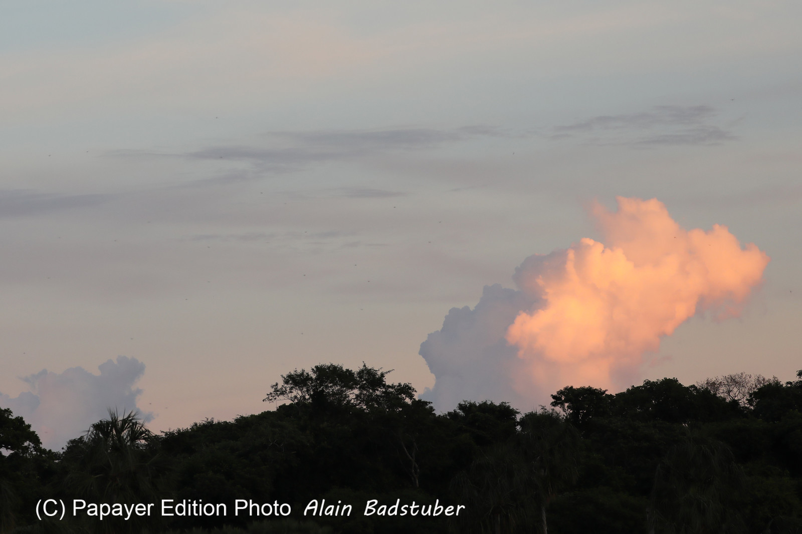 Deuxième séjour à Sarteneja, Bélize, Novembre - Décembre 2021