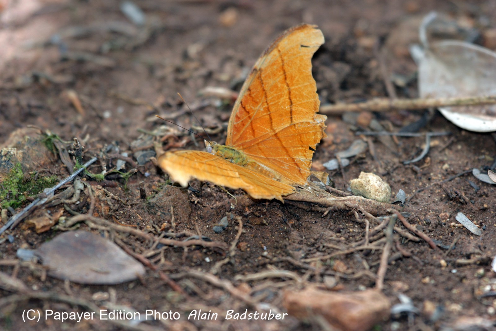 Images_Belize_2011_032