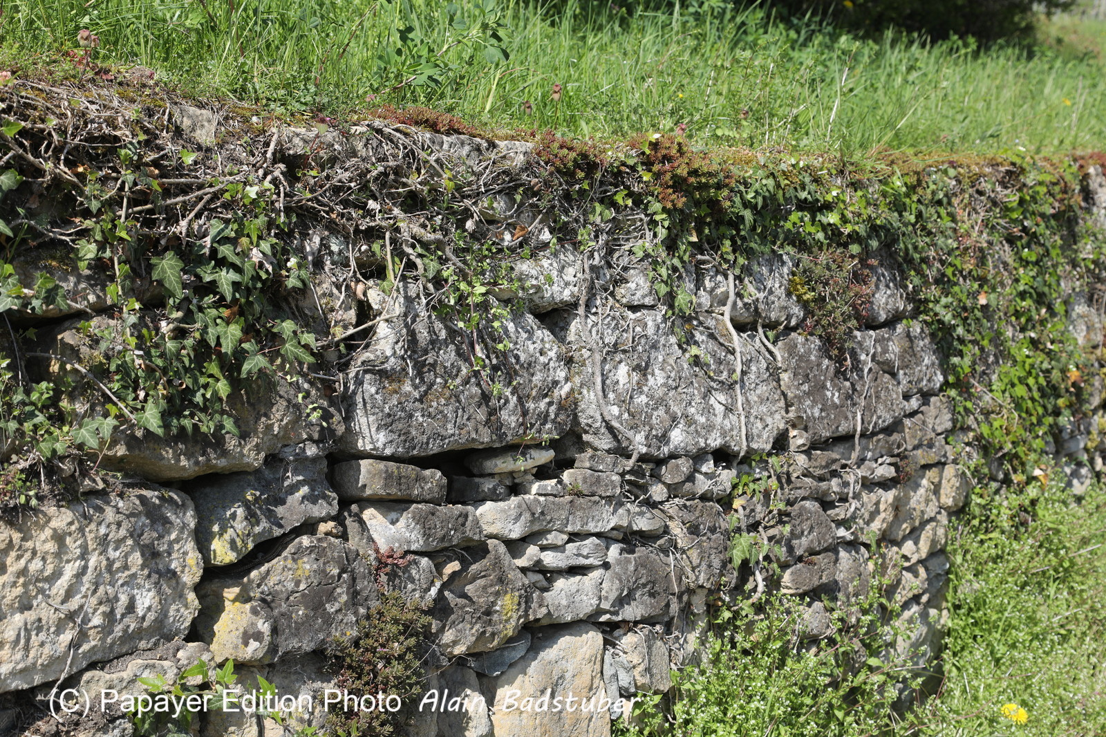 Ma balade du premier mai 2019