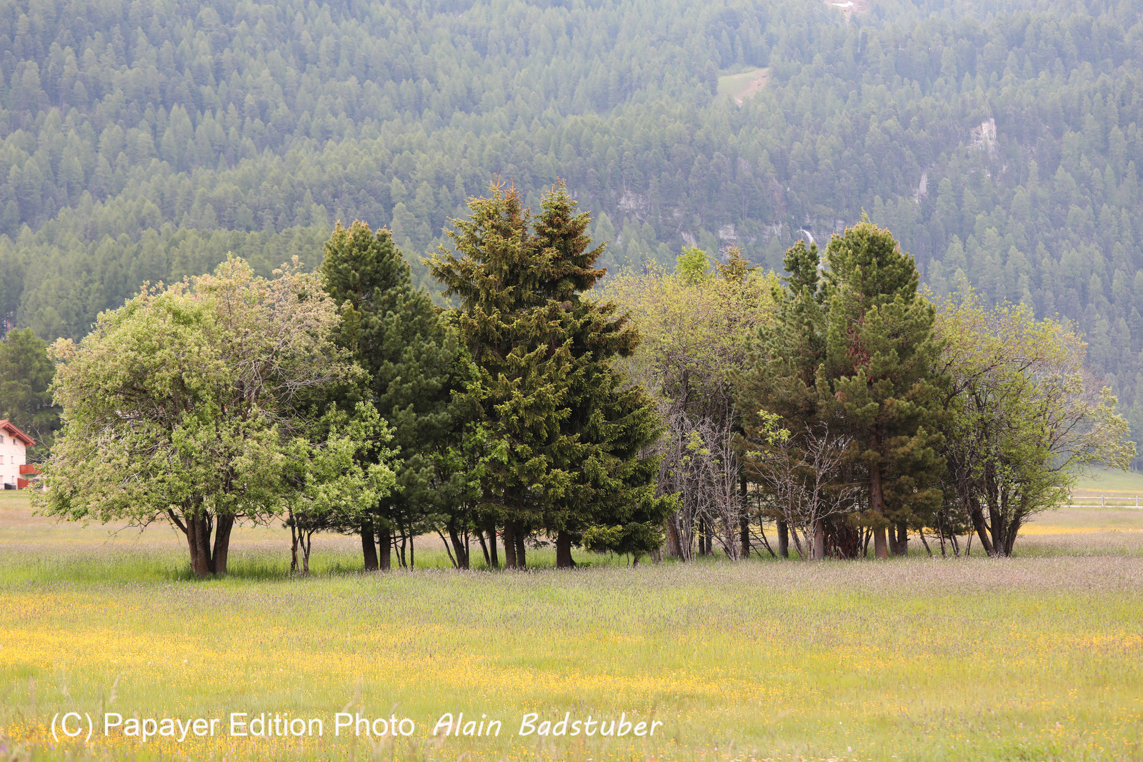 Encore une journée non favorable à la pratique de WingFoil