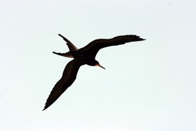 Images_Belize_2011_427