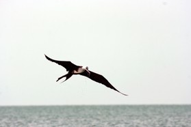 Images_Belize_2011_432