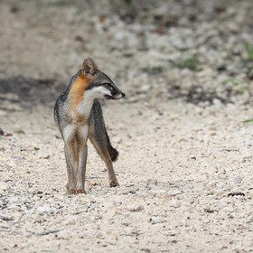 Deuxième séjour à Sarteneja, Bélize, Novembre - Décembre 2021
