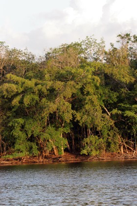 Images_Belize_2011_277