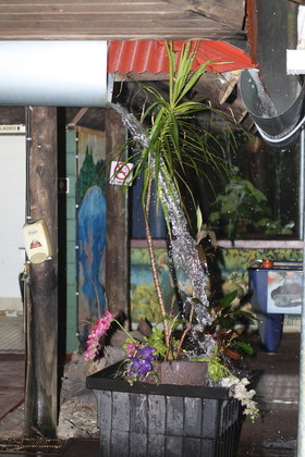 L'Australie à Cow Bay et Cape Tribulation en 2017