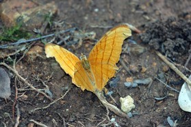 Images_Belize_2011_035