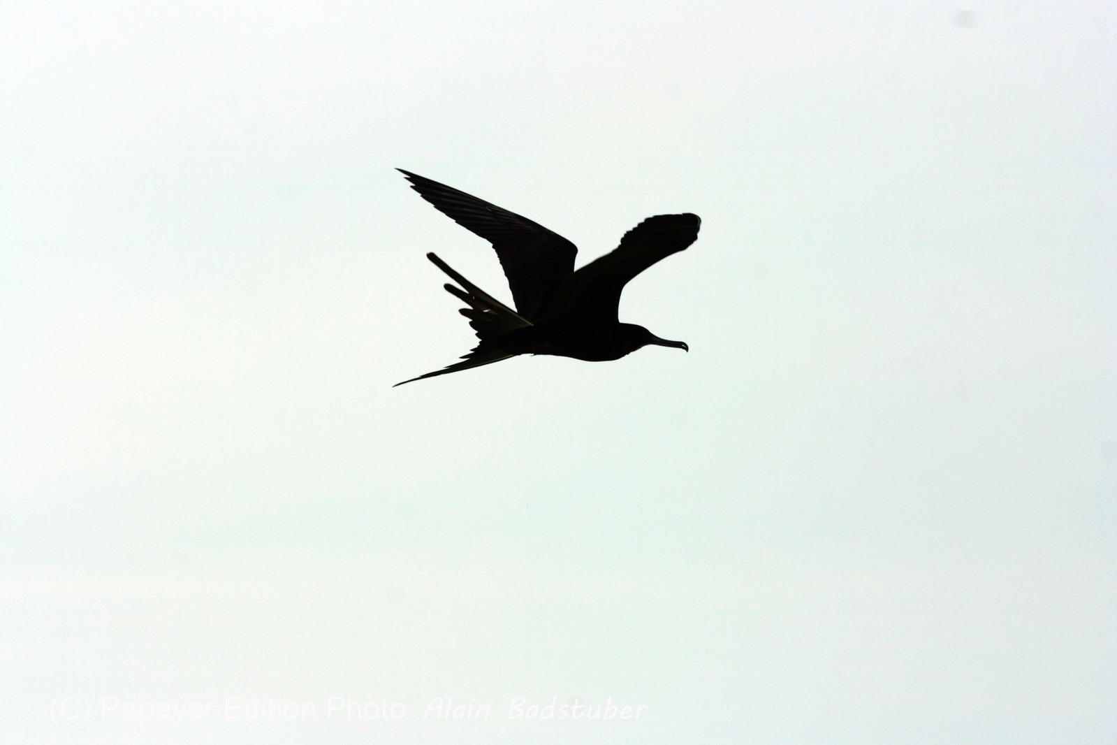 Images_Belize_2011_404