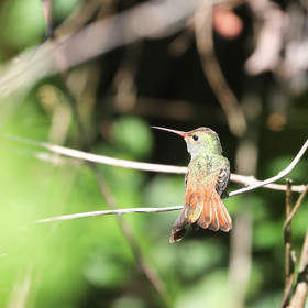 Deuxième séjour à Sarteneja, Bélize, Novembre - Décembre 2021