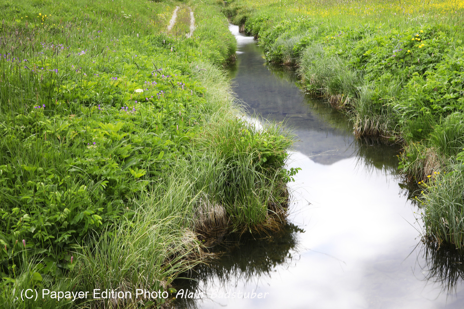 Encore une journée non favorable à la pratique de WingFoil