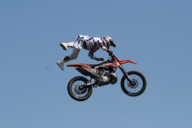 FMX_Show_43