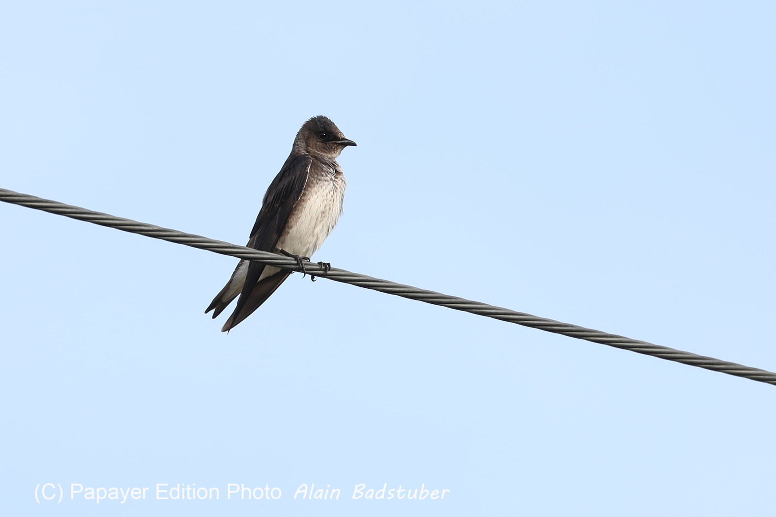 Premier séjour à Crooked Tree , au Bélize en octobre 2021