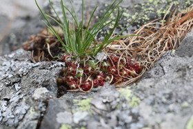 Encore une journée non favorable à la pratique de WingFoil