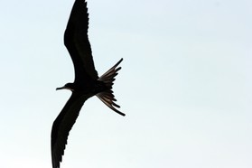 Images_Belize_2011_406