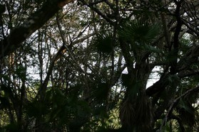 Images_Belize_2011_270