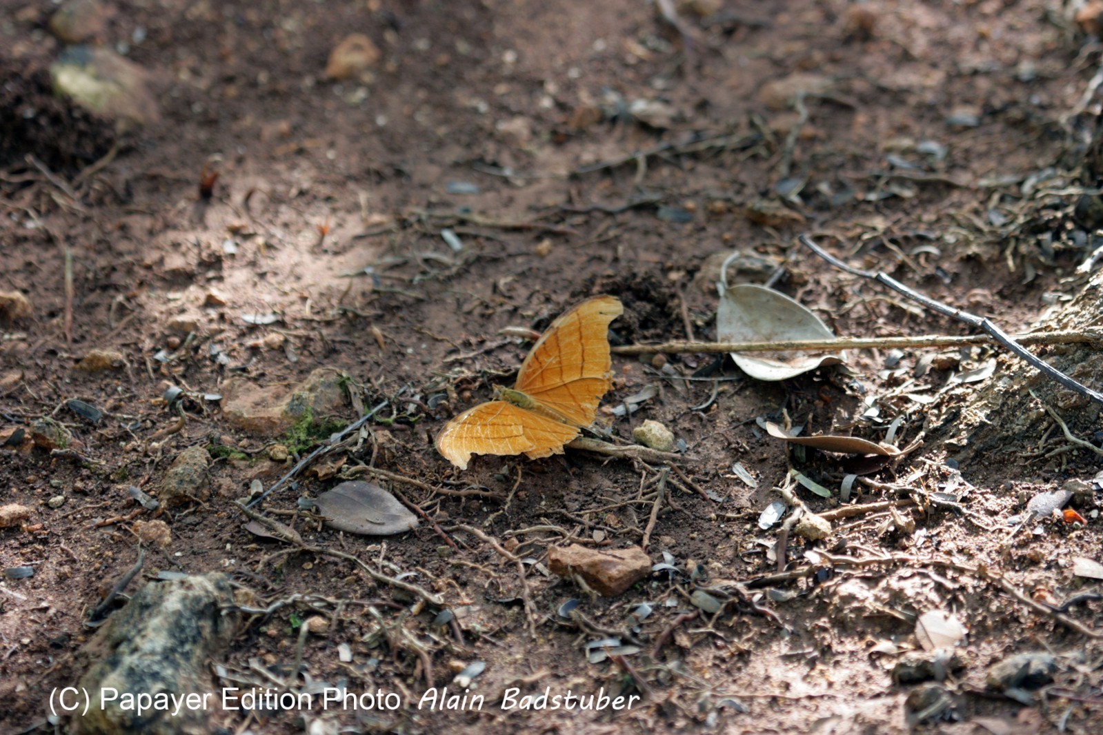 Images_Belize_2011_030