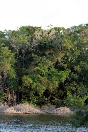 Images_Belize_2011_282