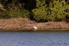 Images_Belize_2011_275