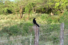 Images_Belize_2011_008