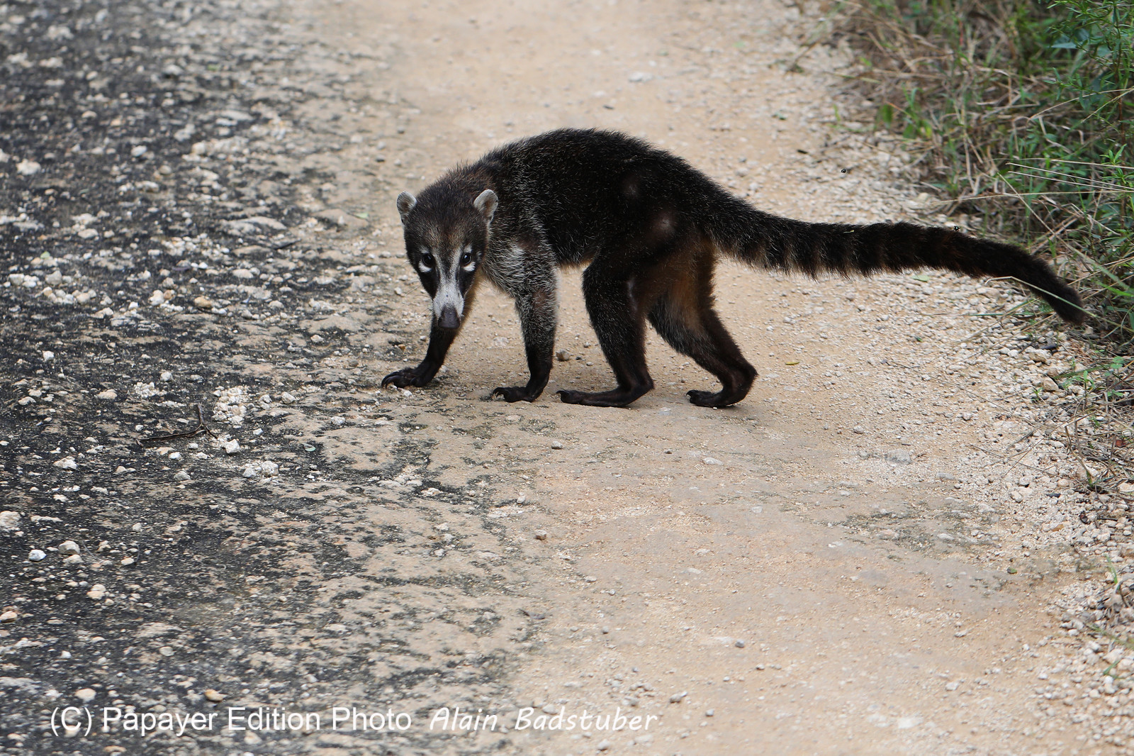 Deuxième séjour à Sarteneja, Bélize, Novembre - Décembre 2021