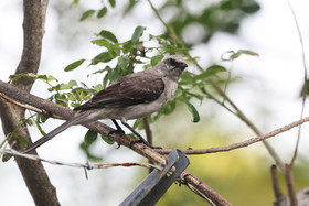 Punta Culebra Nature Center