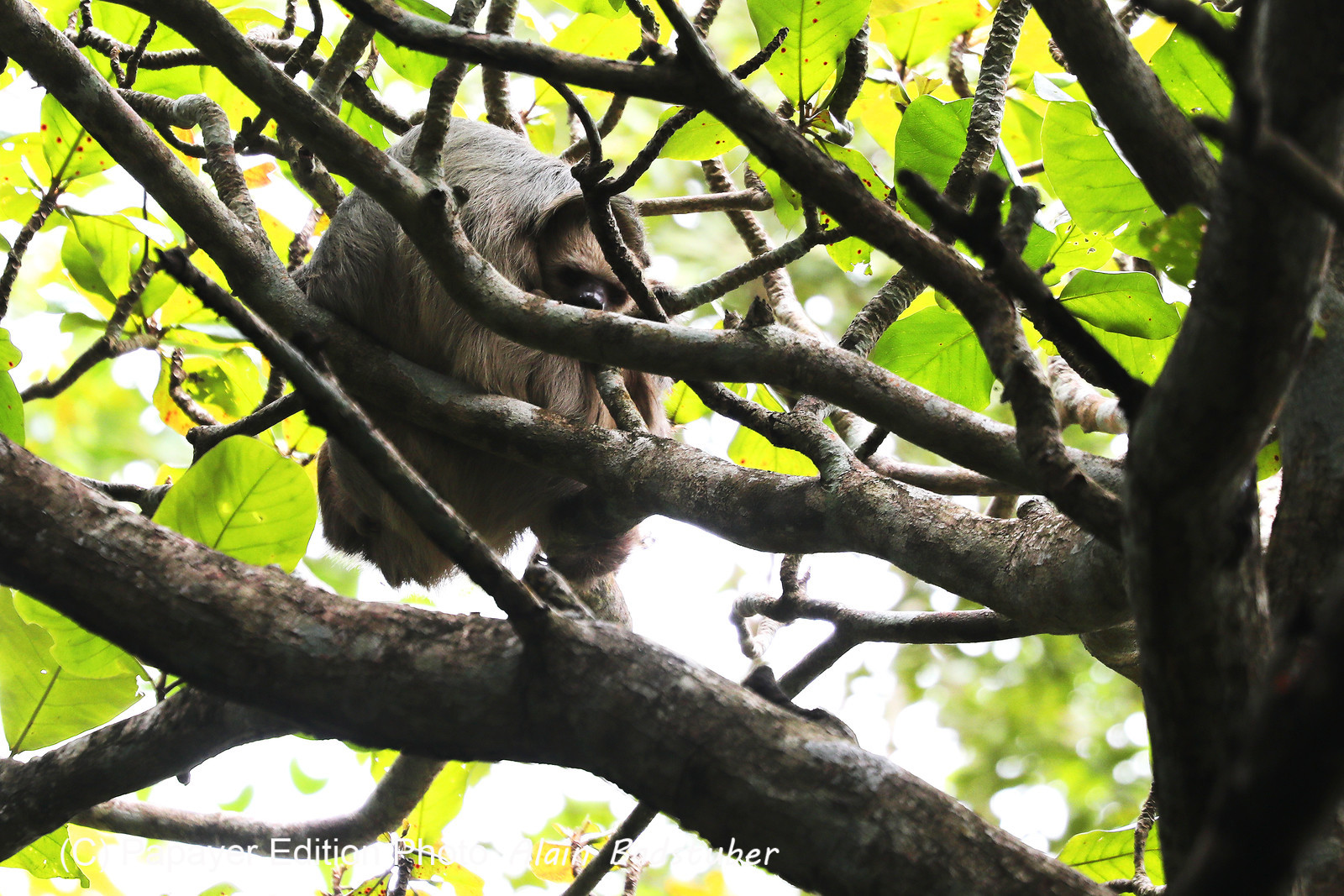 Parque Natural Metropolitano
