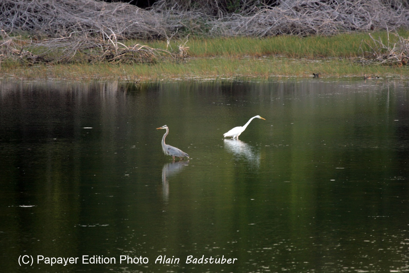 Images_Belize_2011_297