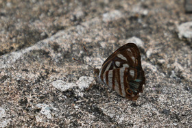 Parque Natural Metropolitano