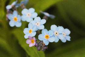 Encore une journée non favorable à la pratique de WingFoil