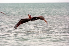 Images_Belize_2011_435