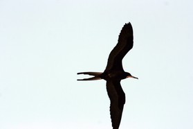 Images_Belize_2011_426