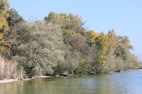 Ile aux oiseaux à Vaumarcus