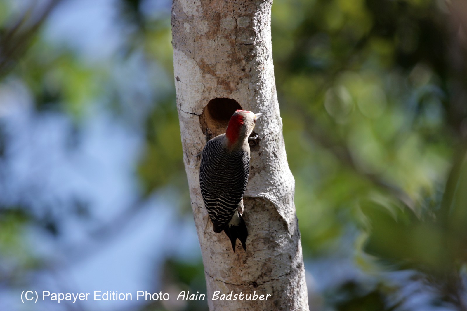 Images_Belize_2011_063