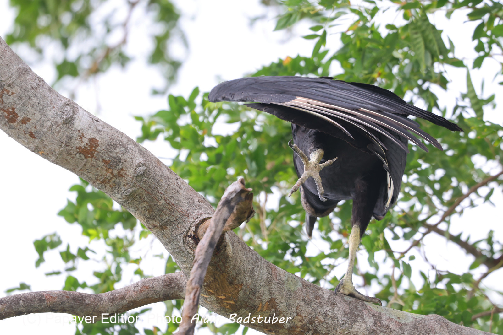 Punta Culebra Nature Center