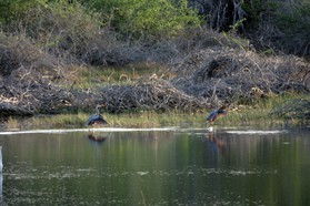 Images_Belize_2011_299