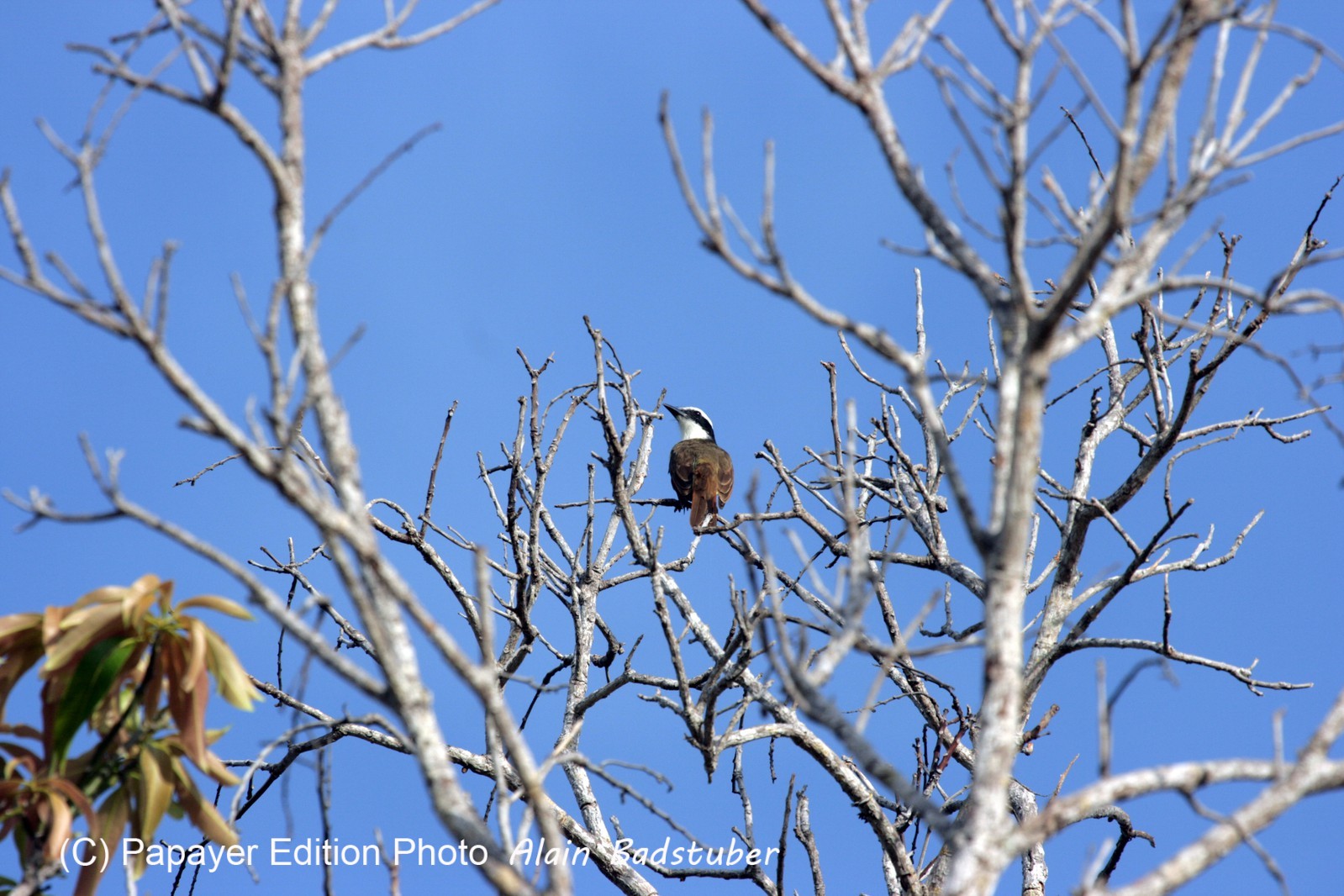 Images_Belize_2011_074