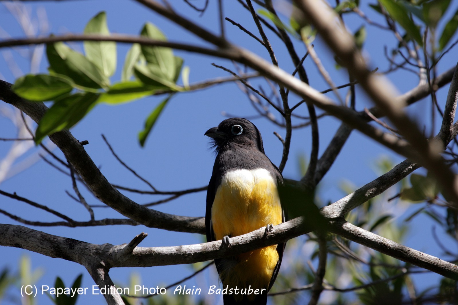Images_Belize_2011_049