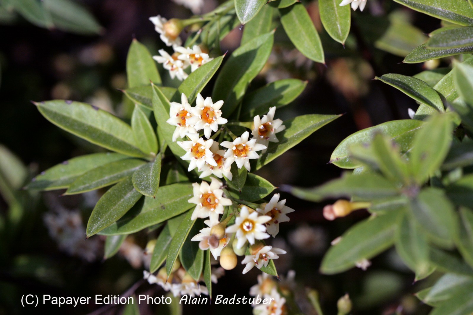 Images_Belize_2011_267